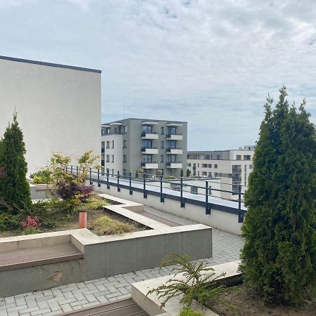 Astoria Apartment - Pet Friendly Braşov Eksteriør bilde