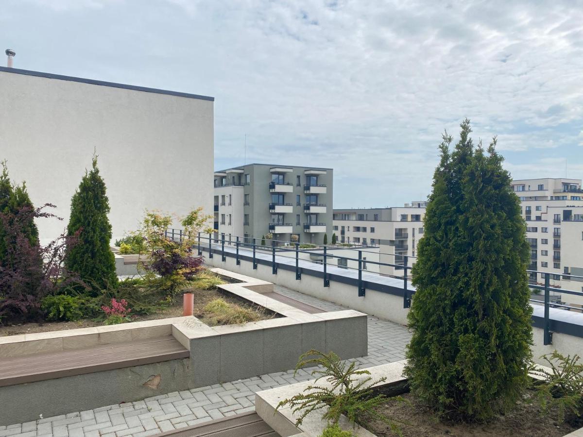 Astoria Apartment - Pet Friendly Braşov Eksteriør bilde